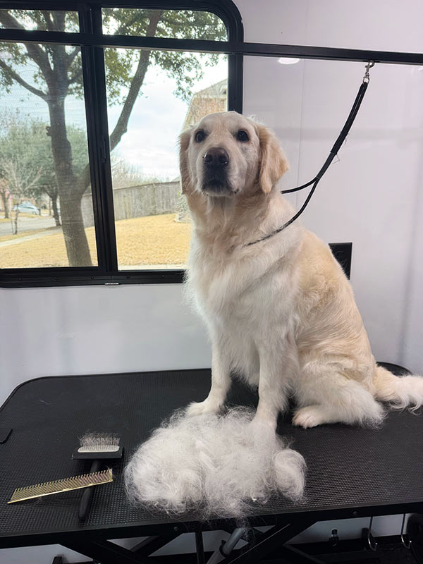 nail trim